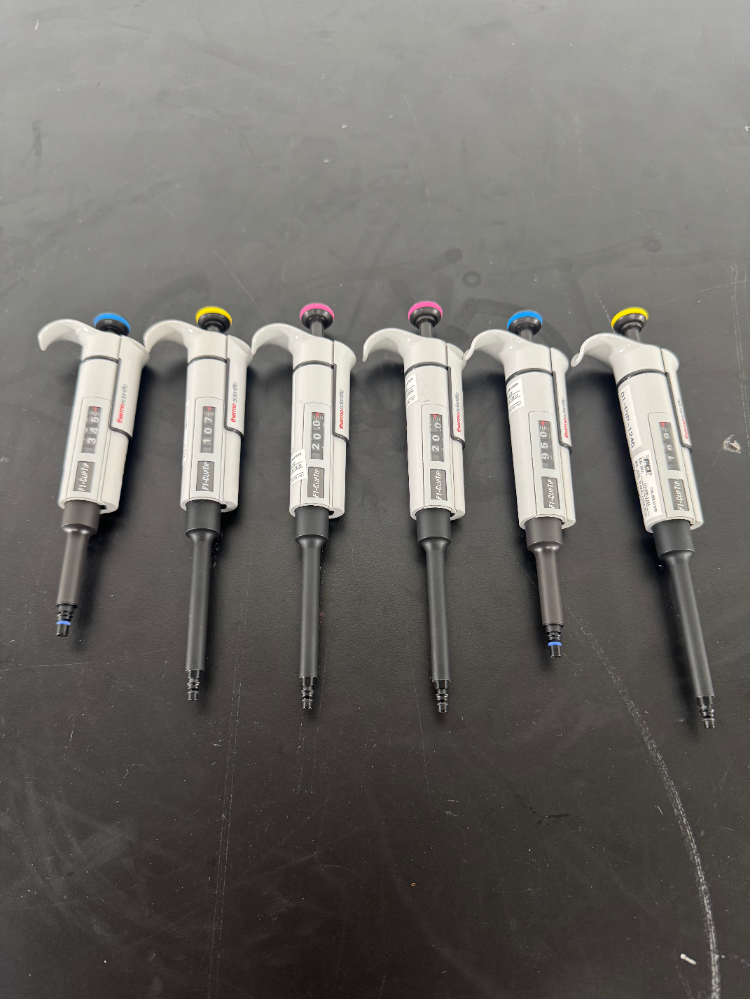 Image of Thermo F1-ClipTip Single Channel Pipettes - Quantity 6